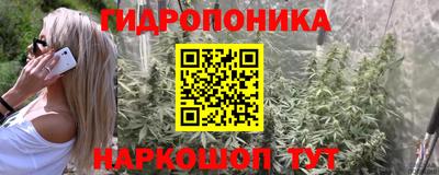 прущая мука Кингисепп
