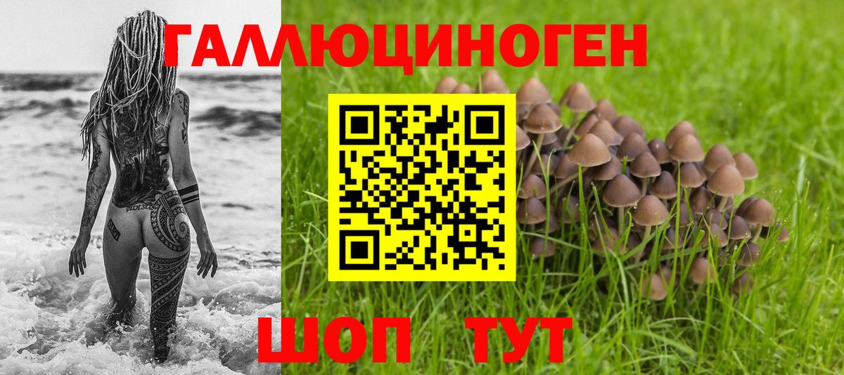 Галлюциногенные грибы мицелий  где купить наркоту  Иркутск  Вход с VPN 