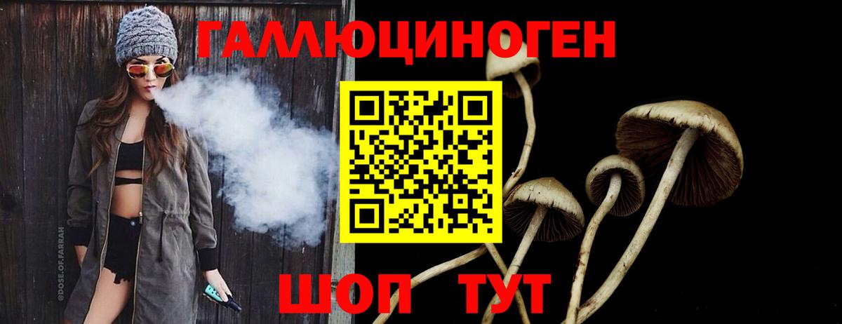 Псилоцибиновые грибы Psilocybe Иркутск